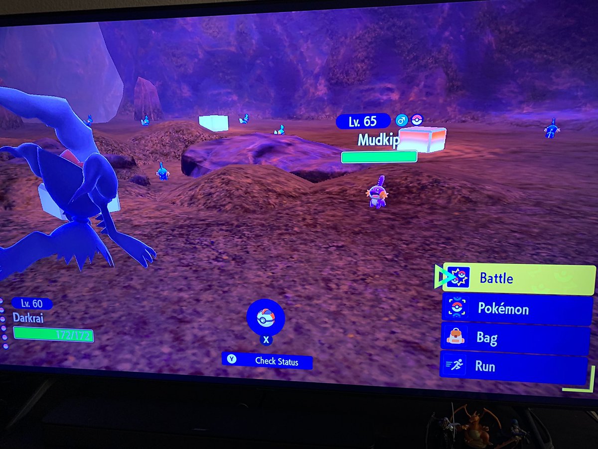 Hevensvoid's tweet image. Shiny mudkip💜 (Indigo Disk DLC) #PokemonScarletandviolet #IndigoDisk #pokemon #mudkip