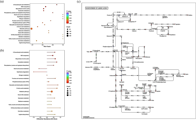 yakzaf's tweet photo. Safety assessment, whole genome sequence, and #metabolome analysis of Streptococcus thermophilus CICC 20372 for bone cement fermentation.#ArchivesOfMicrobiology #Streptococcus https://t.co/jjzE1Da5Lj Chinese Academy of Sciences #bonecement https://t.co/2O4Y0sBrIH