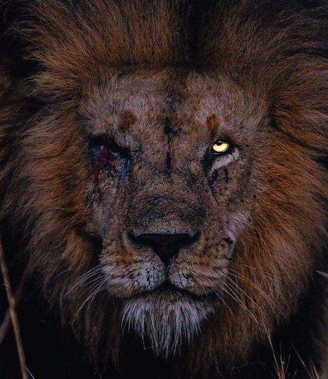 NO RISK
NO STORY
STAY HARD 👊🏼