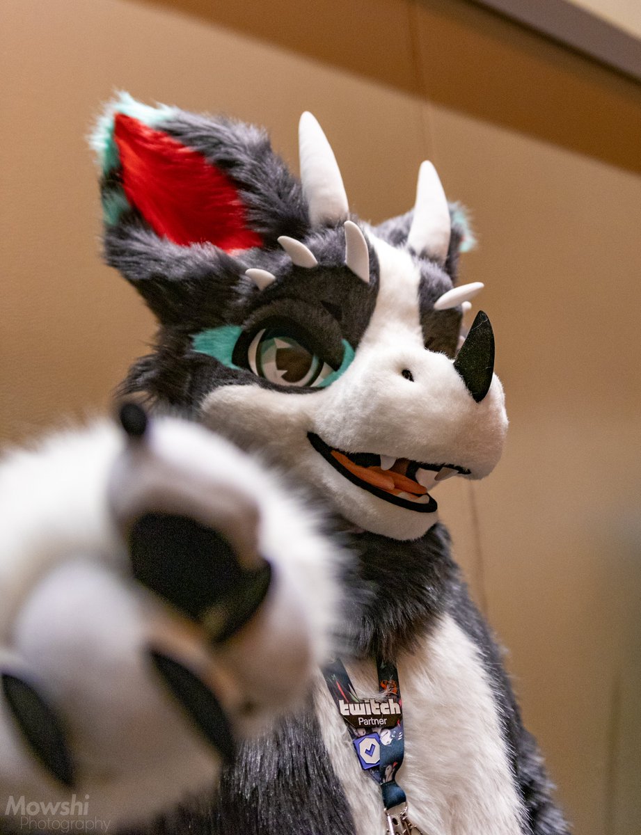 CanadianDerg's tweet photo. Hey you! Yeah you...

You amazing and don't let anyone tell you otherwise.

#FursuitFriday https://t.co/S6cFdQbKg7