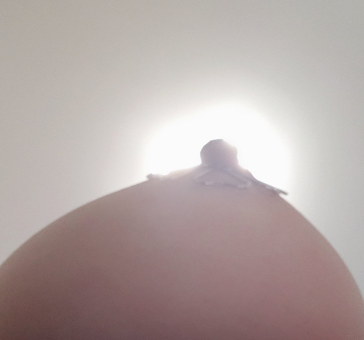 69papa22's tweet photo. 没人点赞就算了，还没有浏览量，也没有人聊天~果断拿出我的小玩具，自己玩儿 #南京 #南京资源 #人妻 #少妇 #已婚 #反差 #约 #约线下 #约炮资源 #啪 #啪啪啪 #骚货女友 #露出 #SM #sm https://t.co/2gBRESiKJW