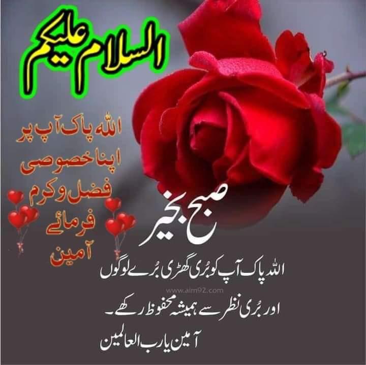 Zeeshan Nazeer Abbasi (@shani_pst) on Twitter photo #عطاری_پرموشن
صبح کی لسٹ
<a href="/261263t/">SYED@</a>
<a href="/TG_ChuDHrY1/">CH🆕️🆔️</a>
<a href="/5skj_/">ثناءاللہ جدون</a>
<a href="/Arukh_12/">☘️🌷Arukh Shehzadi 🌷☘️</a>
<a href="/SH40PK/">Timmi</a>
<a href="/Ma_an15/">ماہا علیツ</a>
<a href="/S786U/">✩ناراض چڑیا✩</a>
@_55_Nalain
<a href="/_pak0786/">Nasir Shah</a>
<a href="/golf4699/">golf man</a>
<a href="/Shani_PST/">Zeeshan Nazeer Abbasi</a>
@PST9T2
<a href="/MRiazQureshi11/">M Riaz Qureshi (Official)</a>
<a href="/F172SR/">❣️𝑭𝑨𝑰𝒁𝑰 𝑺𝑨𝑹𝑫𝑨𝑹 ❣️</a>
<a href="/GM2855/">Ghulam Murtaza</a>
<a href="/sadiqapril1996/">Shan</a>
@Asif_90A
<a href="/asdy407/">رانا اسد</a>
<a href="/H_A_25/">Hafiz Syed Muhammad Rizwan Shah(Munir Hussain)</a>
<a href="/zofo__/">💕inaamfarid💕</a>
<a href="/SH47PK/">Pakistani Boy</a> #عطاری_پرموشن
صبح کی لسٹ
<a href="/261263t/">SYED@</a>
<a href="/TG_ChuDHrY1/">CH🆕️🆔️</a>
<a href="/5skj_/">ثناءاللہ جدون</a>
<a href="/Arukh_12/">☘️🌷Arukh Shehzadi 🌷☘️</a>
<a href="/SH40PK/">Timmi</a>
<a href="/Ma_an15/">ماہا علیツ</a>
<a href="/S786U/">✩ناراض چڑیا✩</a>
@_55_Nalain
<a href="/_pak0786/">Nasir Shah</a>
<a href="/golf4699/">golf man</a>
<a href="/Shani_PST/">Zeeshan Nazeer Abbasi</a>
@PST9T2
<a href="/MRiazQureshi11/">M Riaz Qureshi (Official)</a>
<a href="/F172SR/">❣️𝑭𝑨𝑰𝒁𝑰 𝑺𝑨𝑹𝑫𝑨𝑹 ❣️</a>
<a href="/GM2855/">Ghulam Murtaza</a>
<a href="/sadiqapril1996/">Shan</a>
@Asif_90A
<a href="/asdy407/">رانا اسد</a>
<a href="/H_A_25/">Hafiz Syed Muhammad Rizwan Shah(Munir Hussain)</a>
<a href="/zofo__/">💕inaamfarid💕</a>
<a href="/SH47PK/">Pakistani Boy</a>