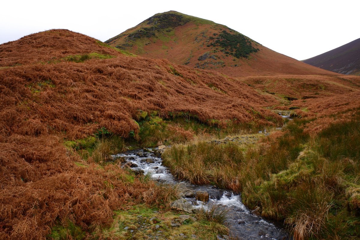 Bowscale Fell yesterday. Up by the Tarn and down by the Tongue, just to keep out of the wind!