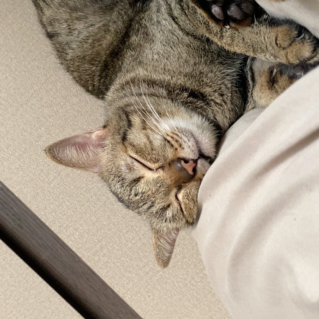 ตื่นได้ยัง