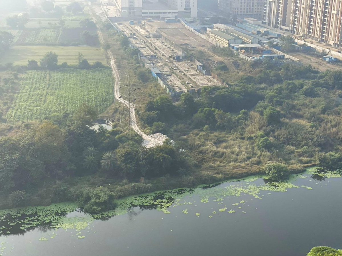 Supriya Sule tweet media