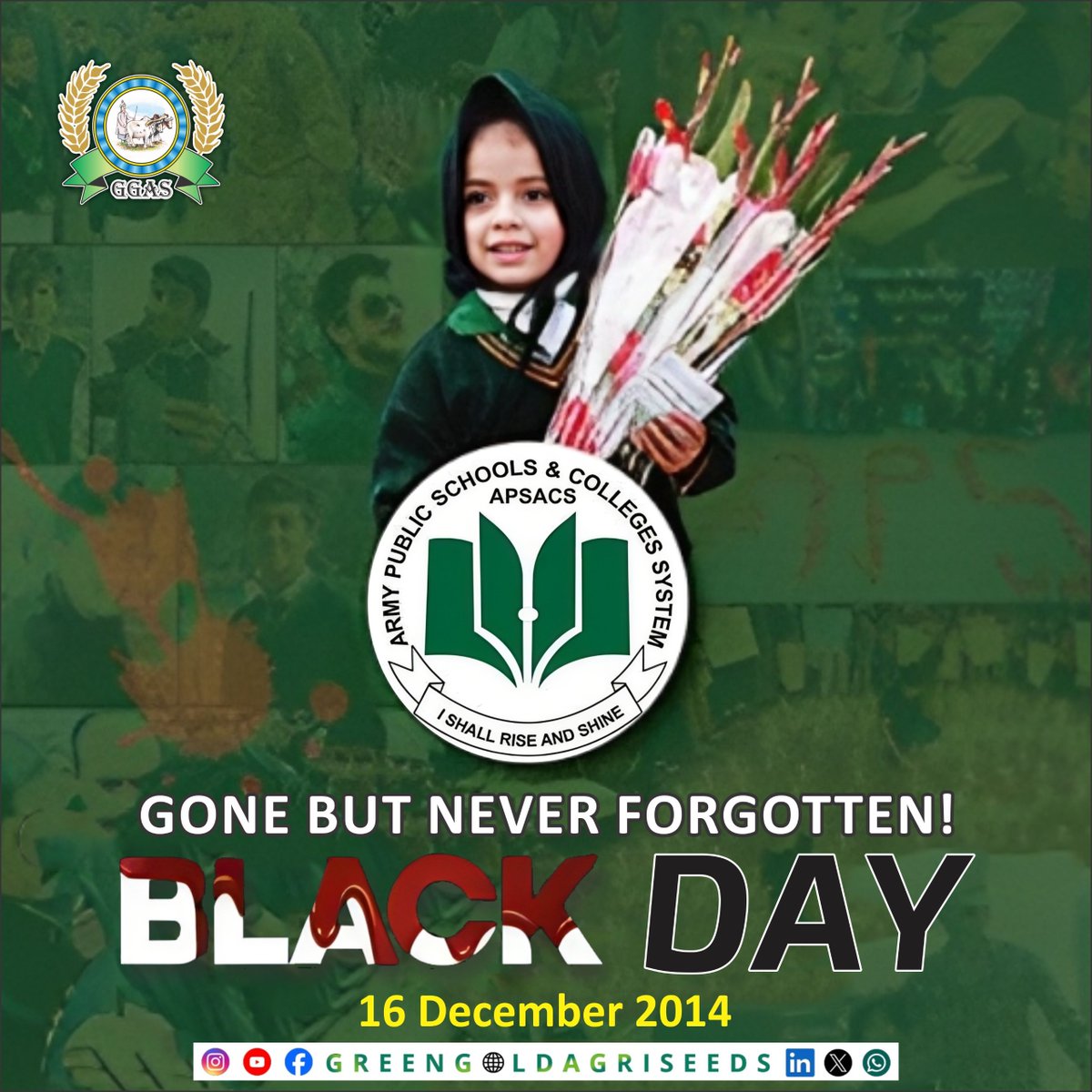 'Remembering the innocent souls we lost on December 16, 2014, in the APS Peshawar attack. Today, we honor the young hearts and bright minds whose dreams were cut short. May their courage inspire a world where every child can pursue education without fear. 🕊️💚 #APSMartyrs