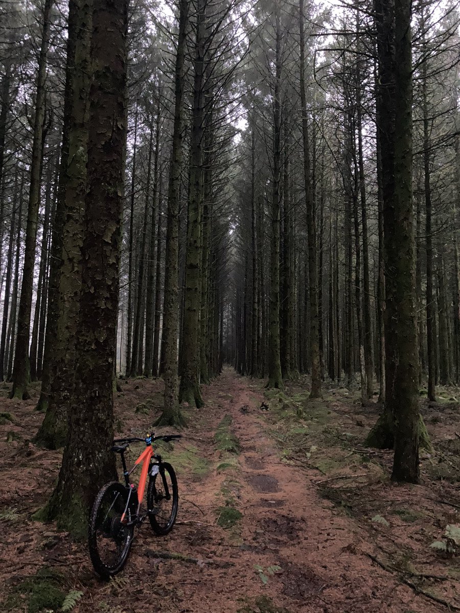 Quick early morning xc spin round sidings, b4 the tourists arrive! 😁 Hardtails 4 life not just for Xmas 😜 #Absoulatemtb1 #lovewherelive 🏴󠁧󠁢󠁷󠁬󠁳󠁿🏴󠁧󠁢󠁷󠁬󠁳󠁿 #walesneverfails ✌️💙