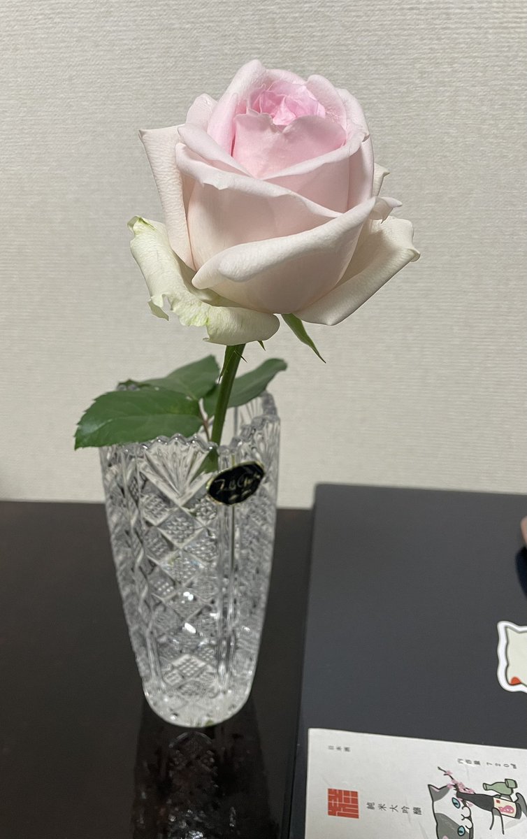 ﾋﾟﾝｸﾛｰｽﾞ - Search / X