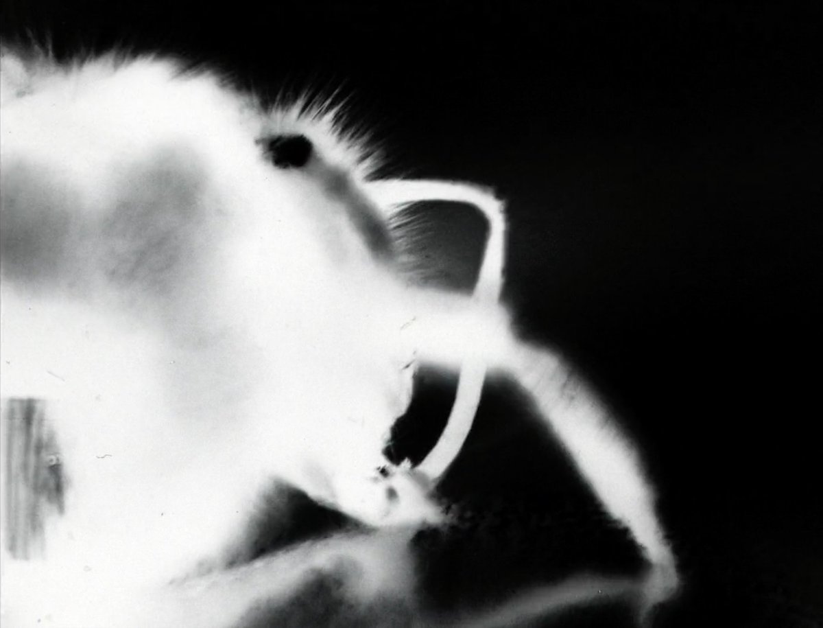 Cinema Parenthèse #44: Vicky Smith - Experimental Animation Films. December 17th, 19h - iMAL, Brussels expcinema.org/site/en/events…