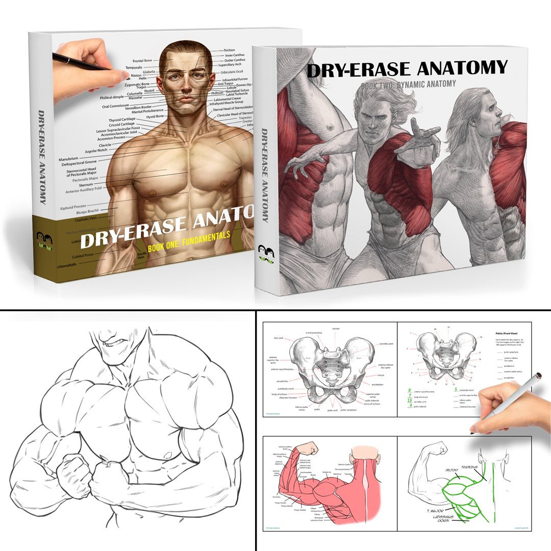 Only 5 days left to support "Dry Erase Anatomy" 
