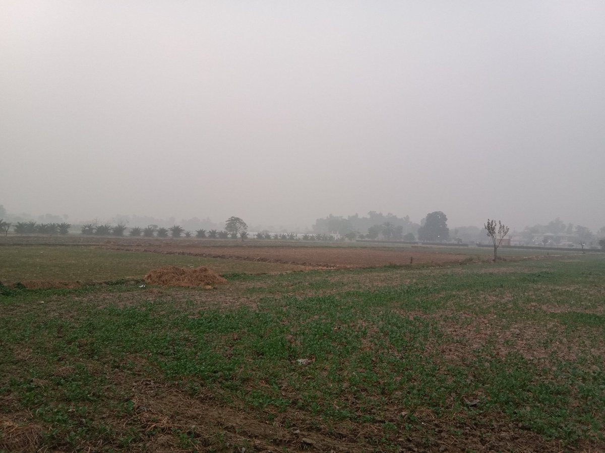 Mian Hamid Sattar (@mianhamidsatta4) on Twitter photo 