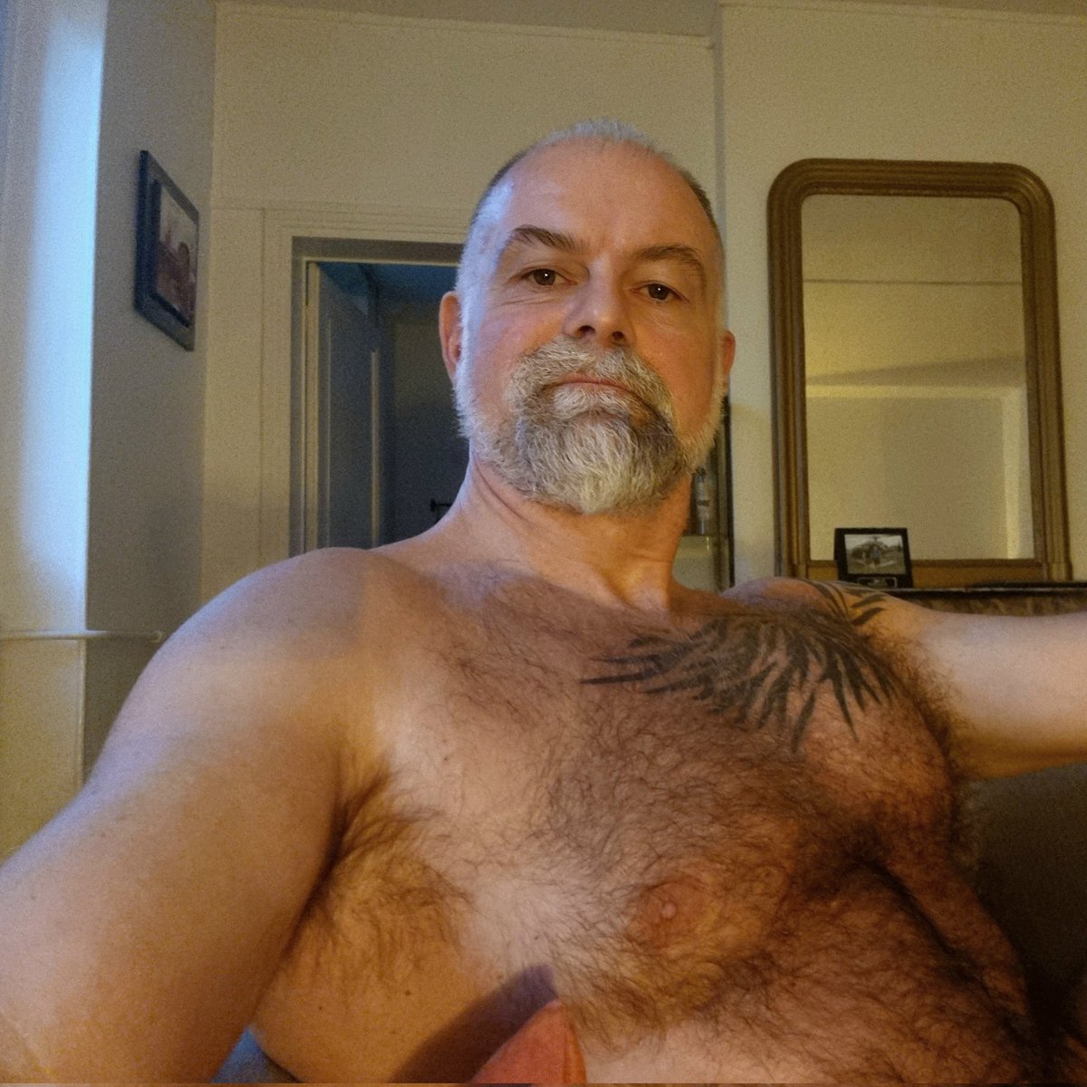 Jimmy_Grey_FR's tweet photo. Hello of saturday morning !
In 10 days, I will be in #maspalomas for 2 weeks... waiting to this.
See you !
#photographer #daddy #bear #musclebear #muscledaddy #tattoo #top #barbu #perenoel #christmas #yumbo #dunas #grangacanaria #bunker #looking4model #malemodel #ours #gayart https://t.co/tv4sRq6C6l