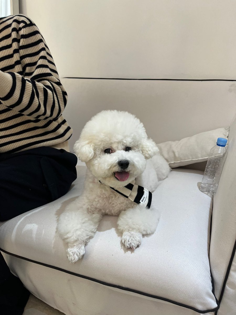 Sehun sent another new photo update of Vivi in the KakaoTalk group chat‼️😭🐩