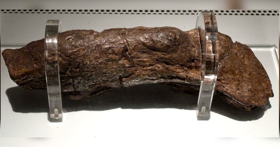 Au 9ème siècle, un viking lâche cet excrément de 20 centimètres de long et 5 centimètre de largeur, et pourtant ce missile n'est que la deuxième plus grosse merde humaine derrière Daniel Conversano