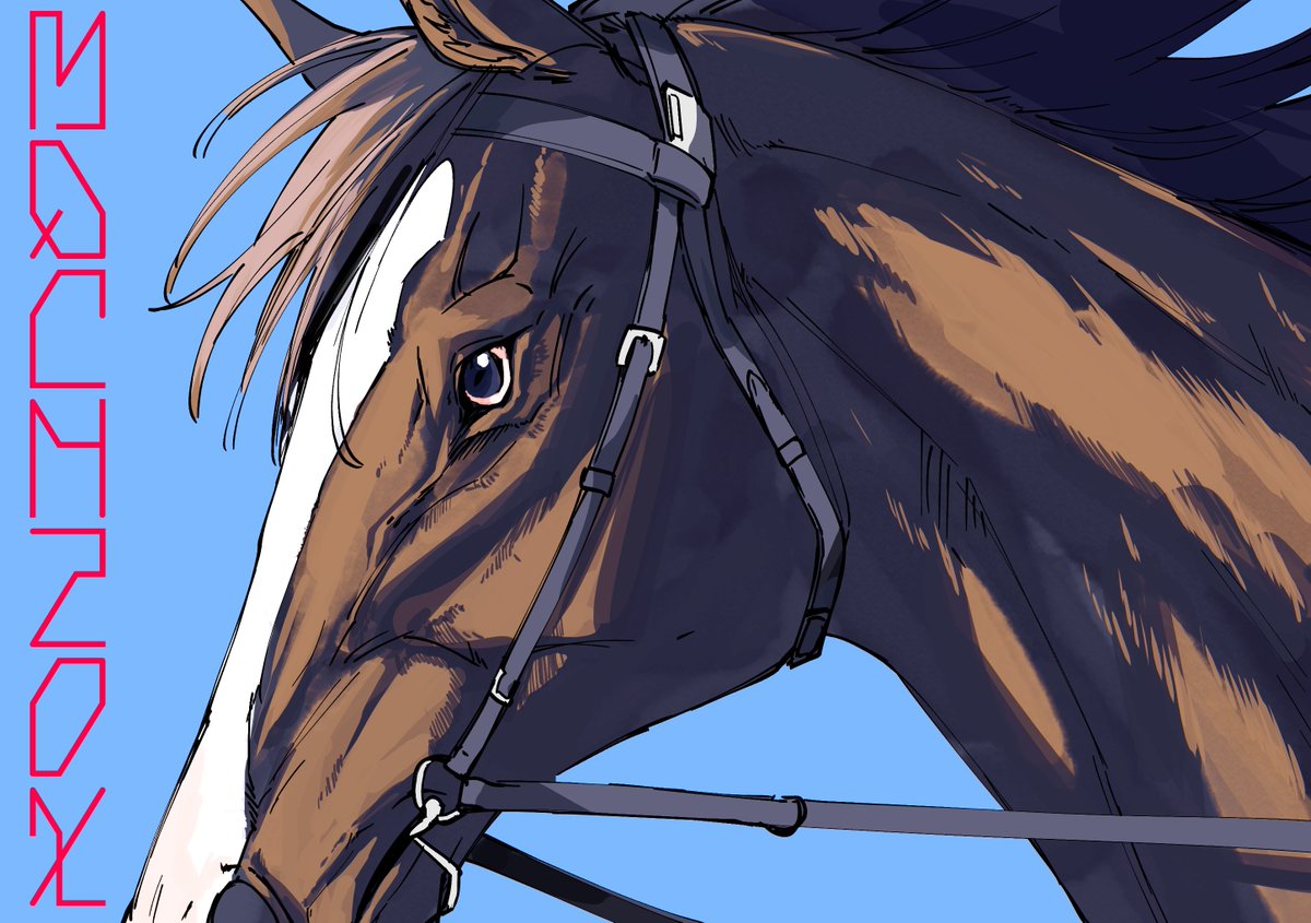 改めてイクイノックスお疲れ様でした🐴 #イクイノックス #UMA馬