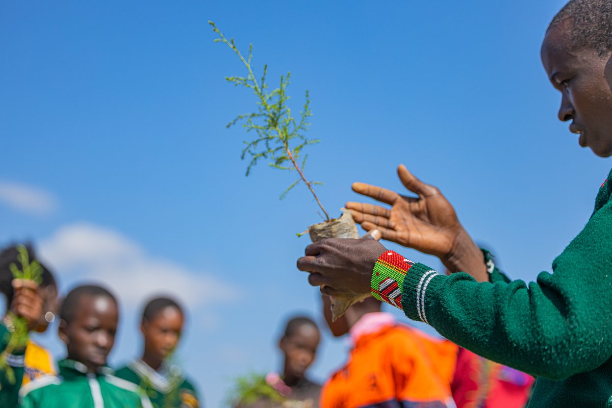 TonyWildKe's tweet photo. We're empowering young learners to become tree-growing champions and conservation advocates.
Join us in creating a sustainable future for all by donating today and being a part of the change https://t.co/77jIjFA76q
πΈ @AnthonyTonyWild / @pfp_charity
#MITIgation #VELPStories https://t.co/fTXEFil1H7