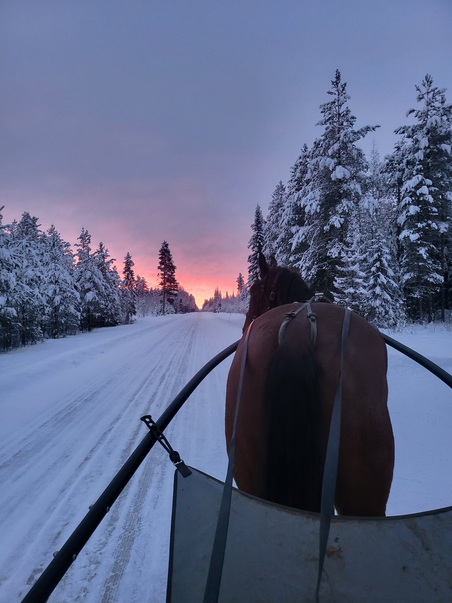 En lite bättre morgon