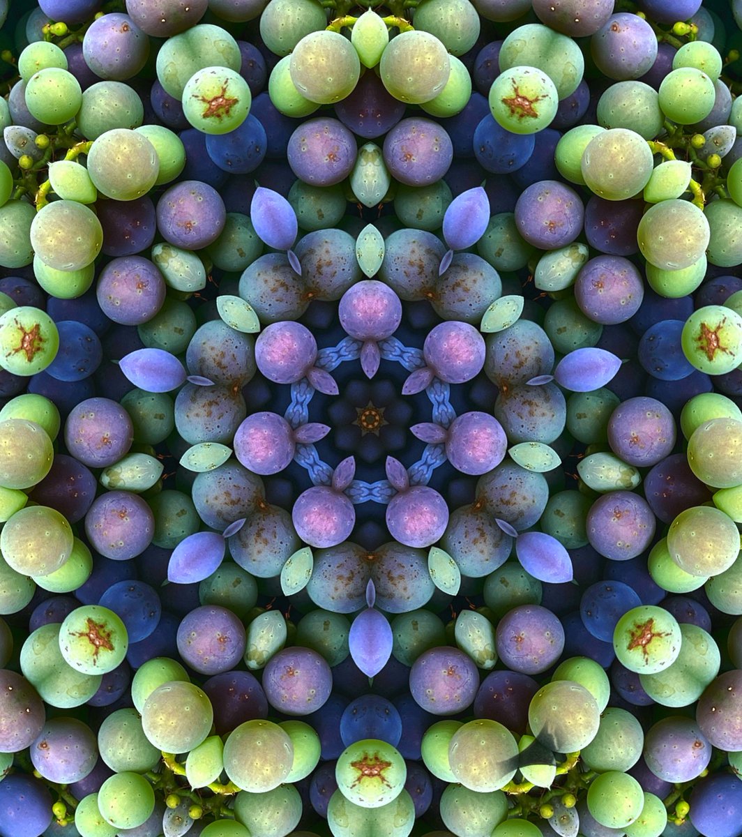 #kaleidosaturday