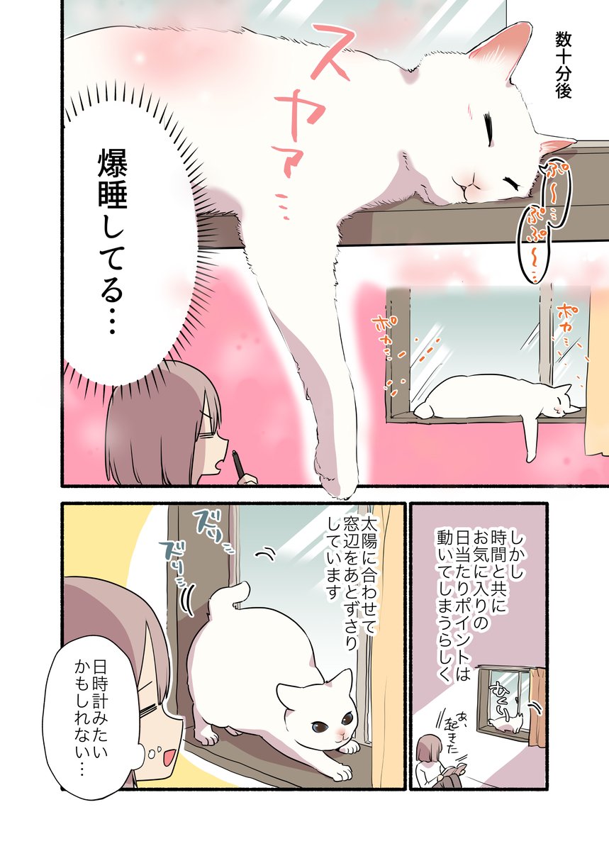 猫って「あとずさり」が出来ない…らしい?(1/2) #漫画が読めるハッシュタグ #愛されたがりの白猫ミコさん