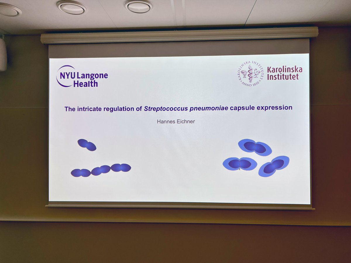 Edmund Loh Lab tweet media