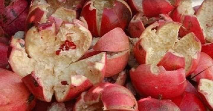 DCFAPakistan's tweet image. انار کے چھلکوں کے حیران کن فوائد
تمام دوستوں کو سلام
 انار کے بہت زیادہ فوائد ہیں، لیکن دکھ بھی ہوتا ھے، جب لوگ انار کھا کر اسکے چھلکے ضائع کرکے کچرے میں پھینک دیتے ہیں

کچھ پھل سبزیا ں ایسی ہیں جو اپنے گو دے کیساتھ چھلکو ں میں بھی فو ائد کا ذخیر ہ رکھتی ہیں اوران چھلکوں کی…