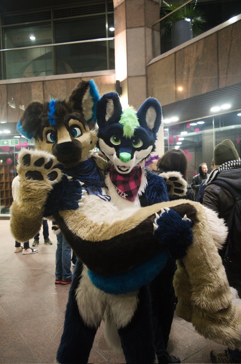 Yeah yes of course absolutely!  As usual I'm late for #FursuitsFriday again,. I mean no need to spam my poor followers until I swipe by this absolute treasure of a person that I wish I just carried on carrying.