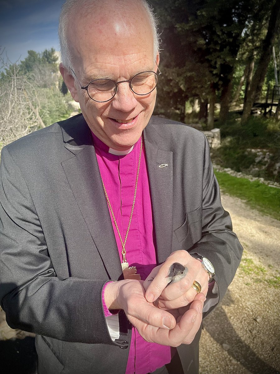 Den lutherska kyrkan i Palestina driver ett utbildningscenter för att värna miljön, men även att skapa en stolthet över sitt land, bland annat med stöd av <a href="/Act_Svk/">Act Svenska kyrkan</a>. Som fågelentusiast blir jag uppmuntrad av att se det gedigna arbetet med att ringmärka och kartlägga fåglar.