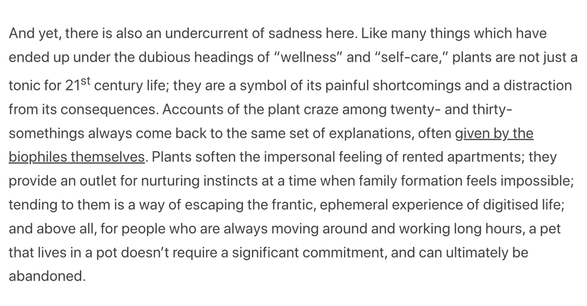 How house plants reflect the frustrations of millennial life. From today's Pathos of Things newsletter: