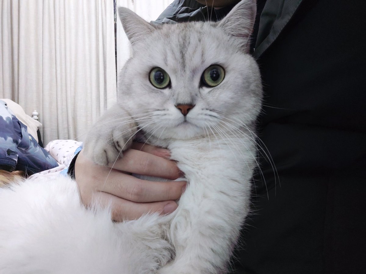 贩卖落日 tweet media