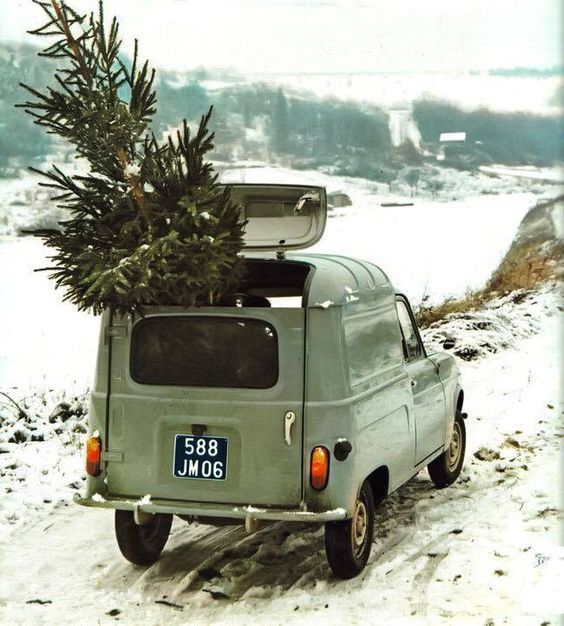 Off to find the perfect tree that brings festive joy to the home this Christmas. 
.
.
.
.
#ukchristmas #christmastree #festiveseason #festiveinteriors #ukdecor #snow #ukinteriors #londoninteriordesigner #madeinbritain #christmas2023