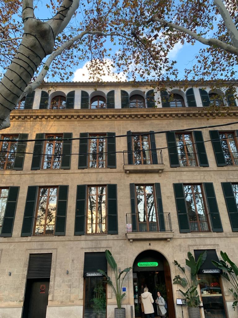 Mallorcat's tweet image. La darrera volta d’enguany d #PerPalmaCadaMes es va fer dijous passat x la Rambla. Com és habitual, va  ser molt interessant, amb les explicacions d’en Gabriel Alomar. La delegació d #Palma d  l’@ocbcat, si tot va bé, fa comptes d continuar voltant x la nostra ciutat el #2024.