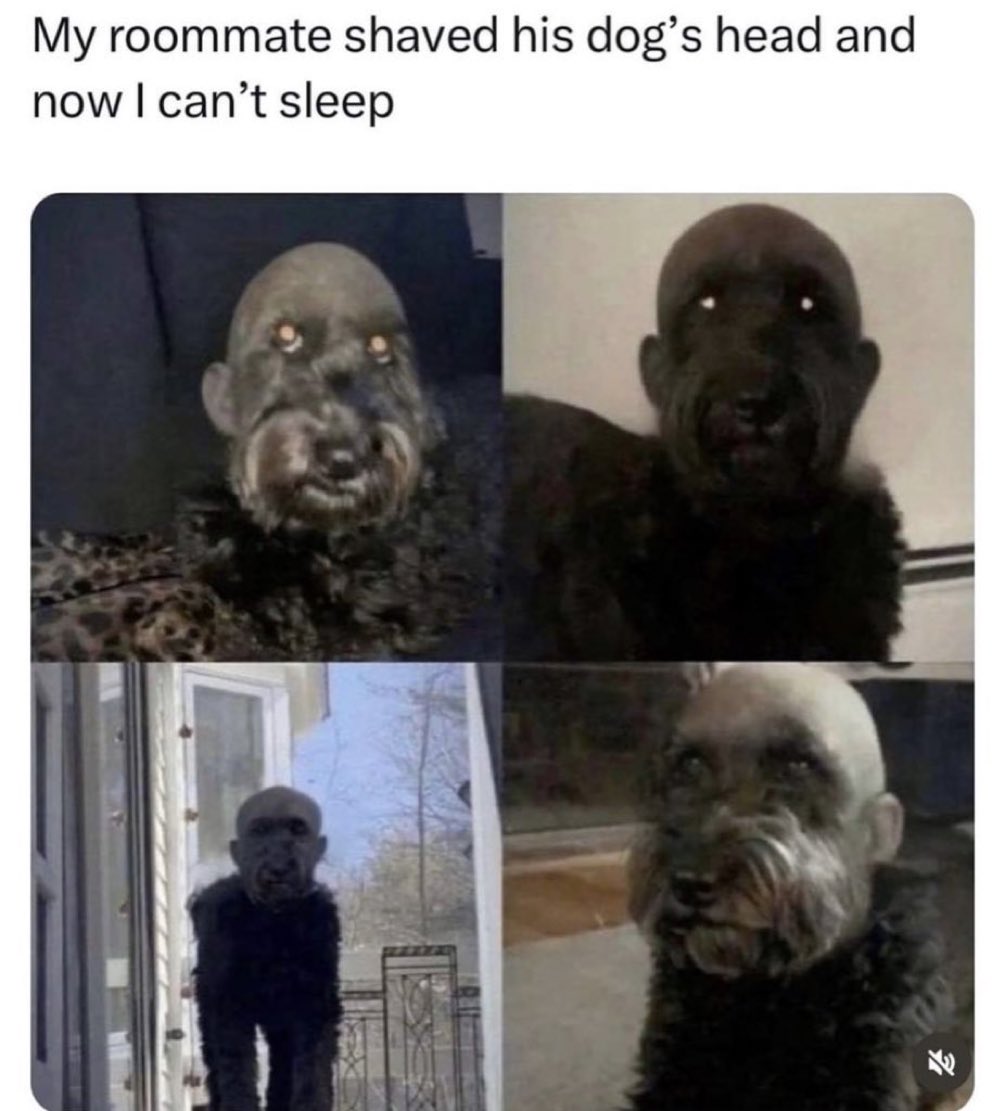 NoContextHumans's tweet photo. https://t.co/T9DckmA74i