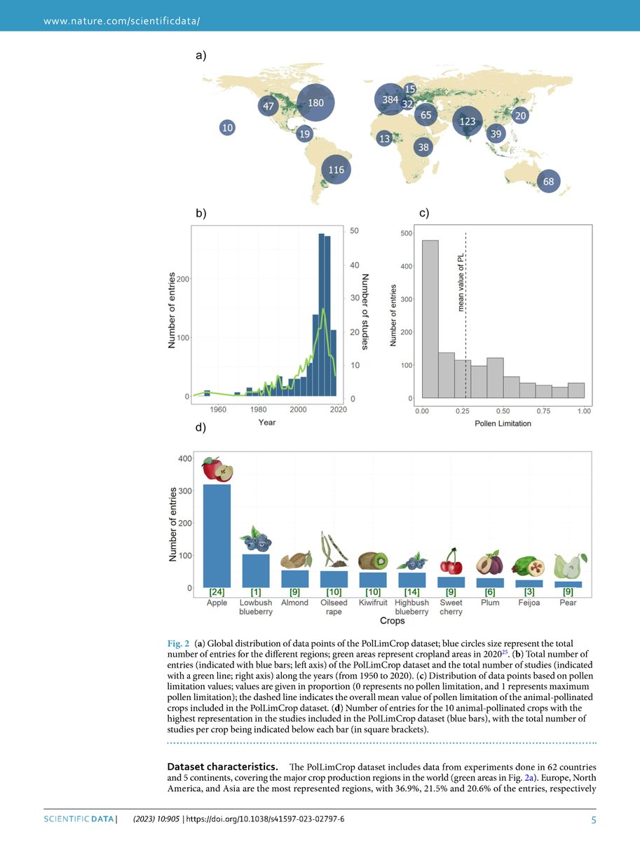 🆕🍒🍏🐝 PolLimCrop, a global dataset of pollen limitation in crops @CatarinaSiopa, PhD student at FLOWer Lab, just published the PolLimCrop database, which provides pollen limitation values of animal-pollinated crops worldwide, on @ScientificData! 📰nature.com/articles/s4159…