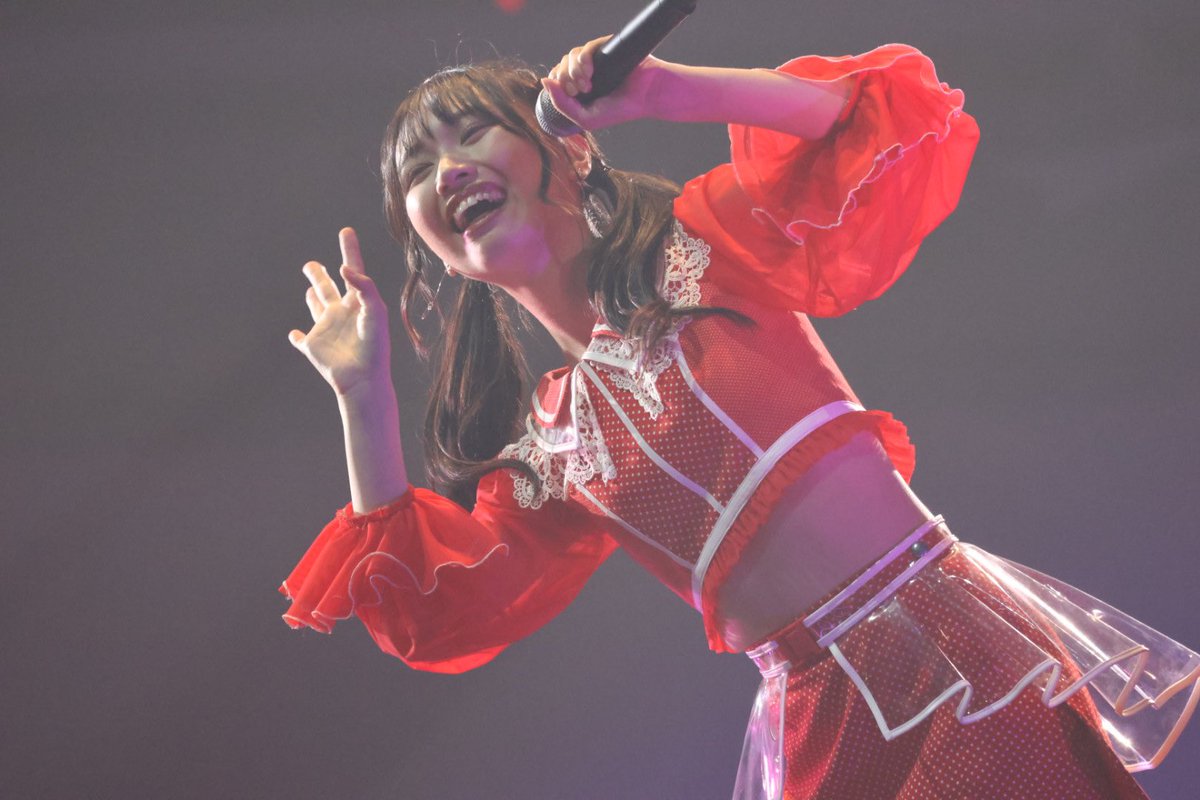 ♡クリスマスポメちゃんオーダーページ ♡クリスマスポメちゃん