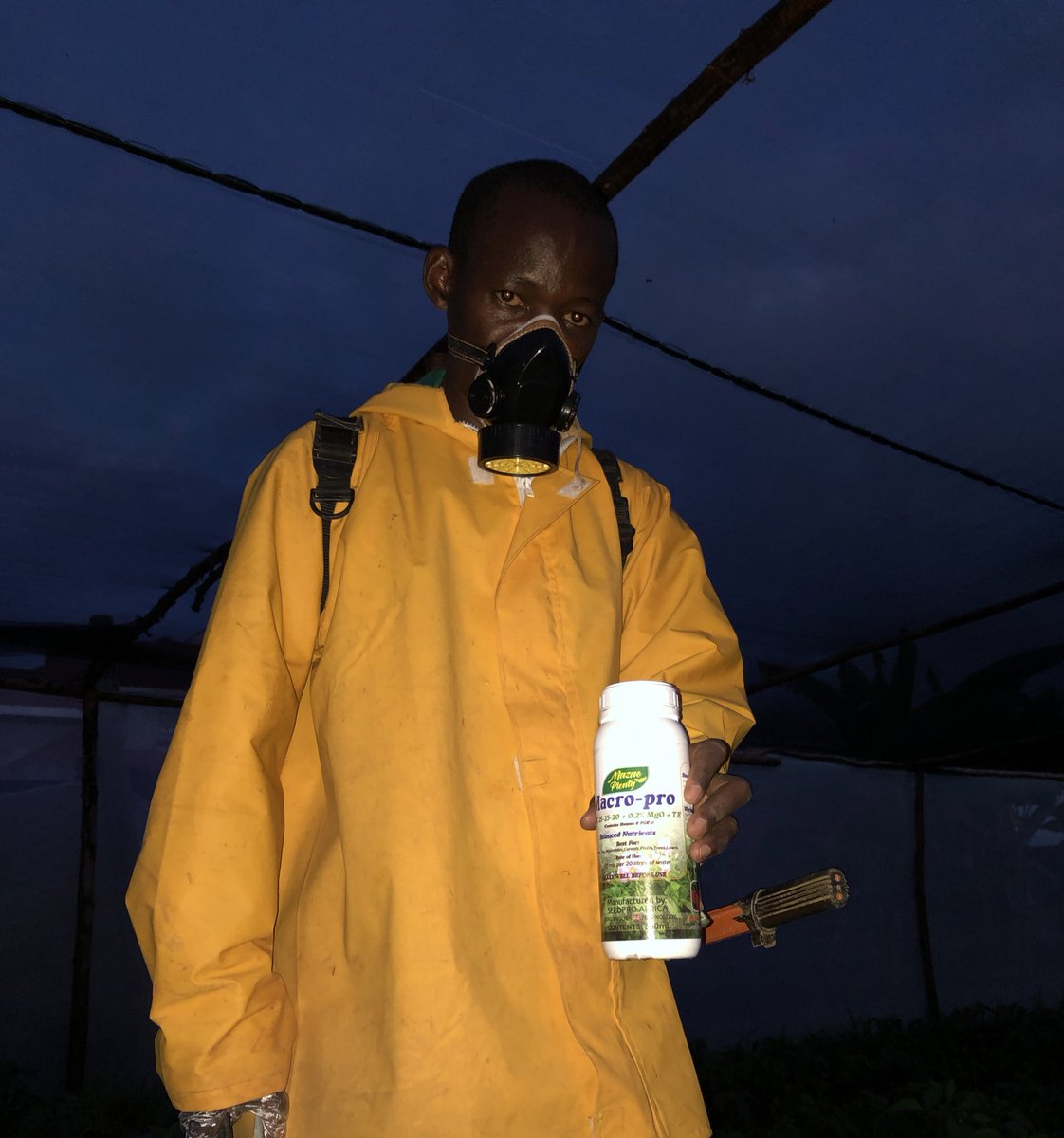 kalebndolo's tweet image. Spraying #macropro from #seedpro  on our #yellow and #red capsicum.