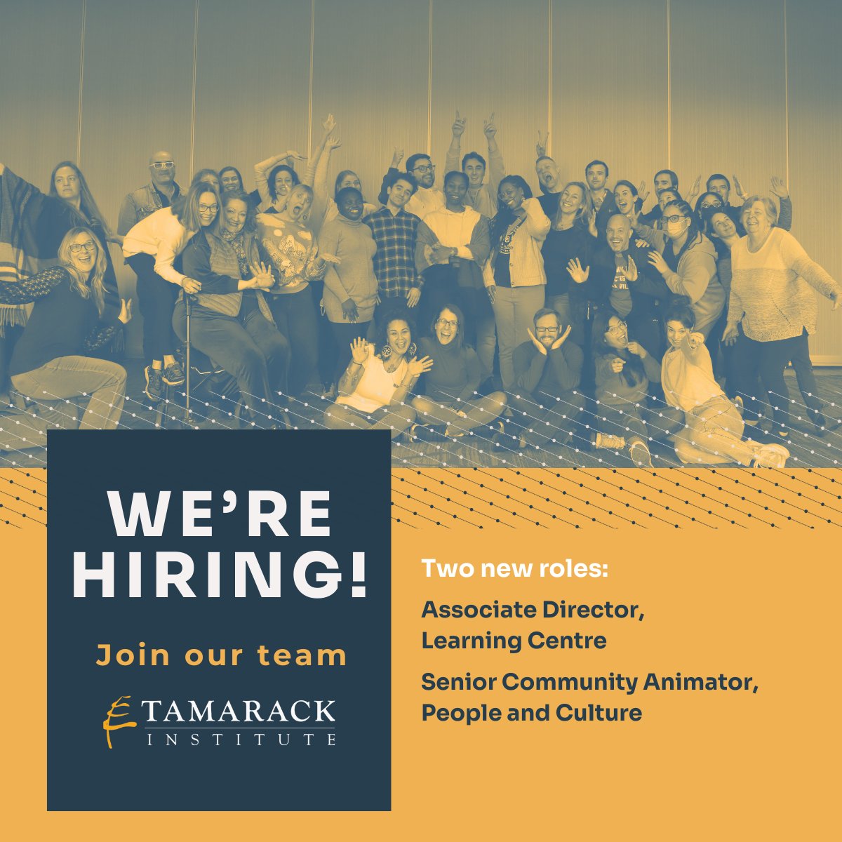 The Tamarack team is excited to announce two new job opportunities! ➡️ hubs.li/Q02dd0R10

#JobOpportunity #NonProfitJobs
