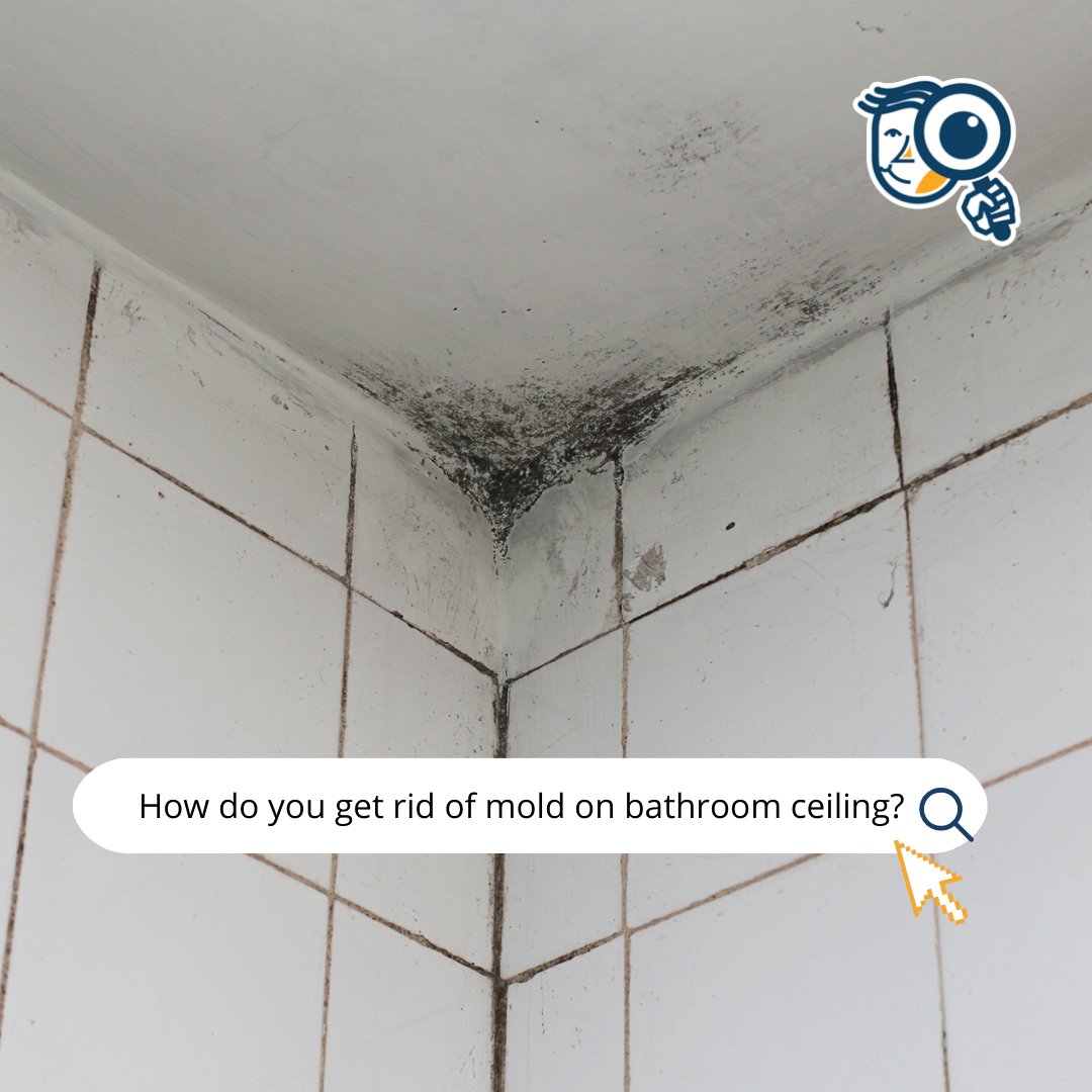 How do you get rid of mold on your bathroom ceiling? 🛁

To get rid of mold on bathroom ceilings, read more below.👇
airqualityassessors.com/how-to-get-rid…

#airqualityassessors #floridahomeowners #floridabusinessowners #blog