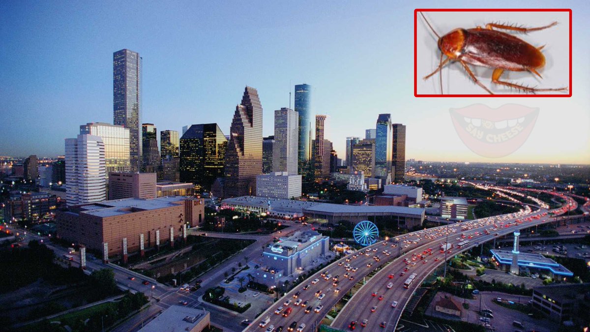 SAY CHEESE! 👄🧀 tweet media