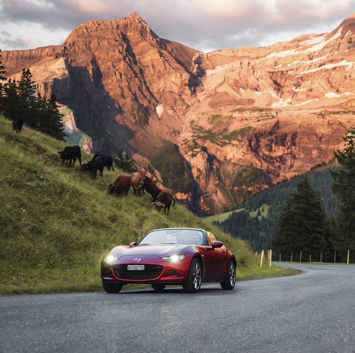 The Mazda MX-5 is more than a sports car. It's the champion of roadsters. The sporty new edition stays true to the ethos "more power, less weight" ⚡ 

Find out more >​ bit.ly/4a0MvIH