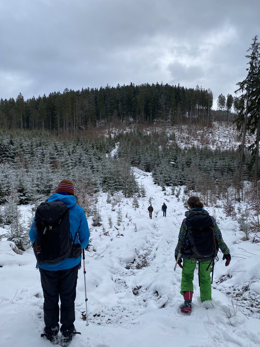 Masha Gulak 🇺🇦 tweet media