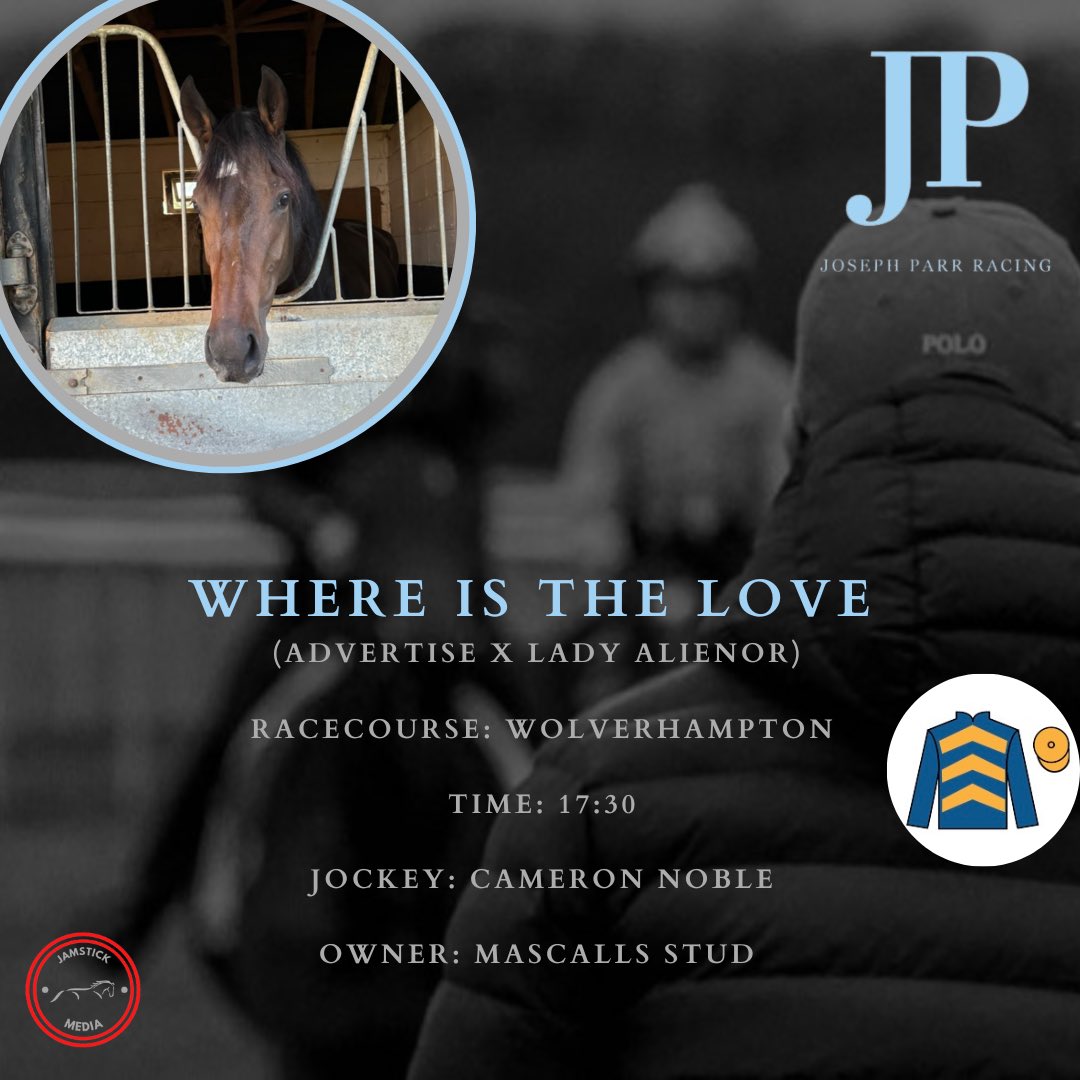ParrRacing's tweet photo. ❓Where Is The Love ❤️ heads to @WolvesRaces tonight under @CameronJNoble. Good luck to owners, Mascalls Stud #JPracing https://t.co/XhFdKBMu2h