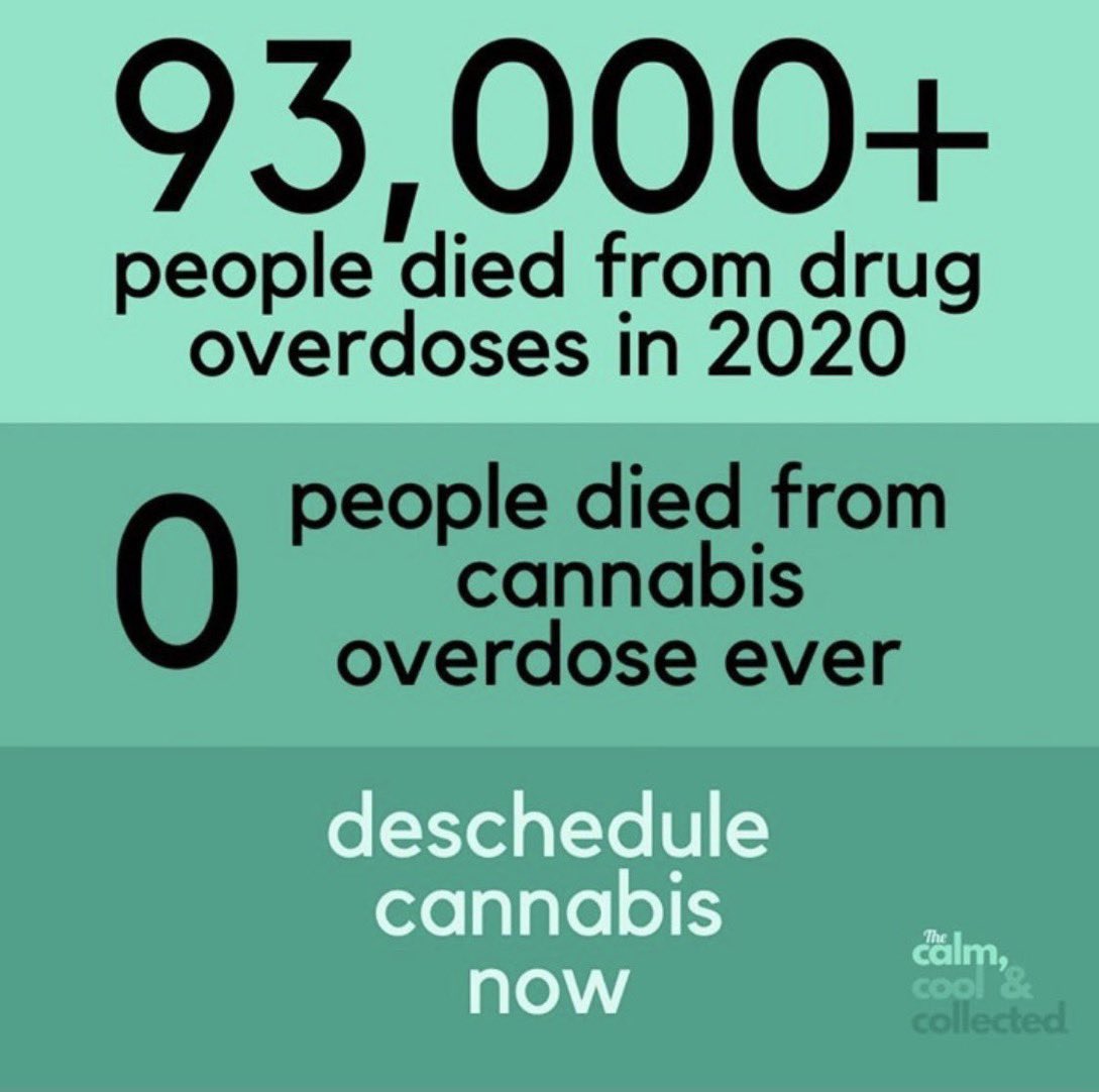 asparaguslee's tweet photo. Alcohol kills 480k Americans a year &amp; causes cancer

Cannabis has killed 0 and heals cancer

@DEAHQ #Deschedule the herb🌿

88% NET of Americans support #CannabisLegalization https://t.co/McNYvb6YUT