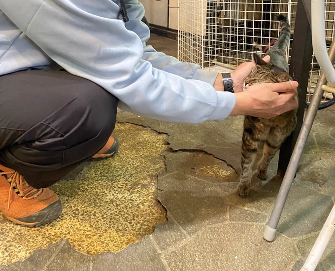 ムチューーしてきた。 