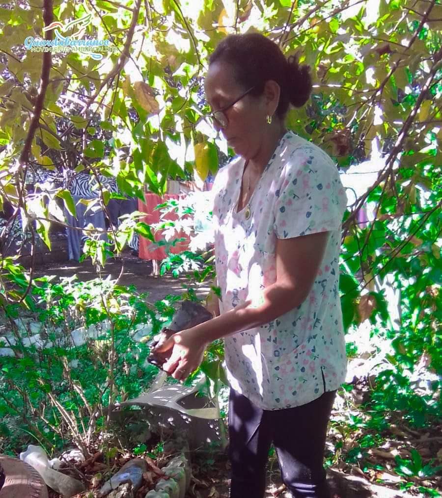 🔰León Norte  realizó Jornada de reforestacion y limpieza de las áreas verdes de la casa del adulto mayor, del Municipio del Sauce.🪴✨🤩 #verdequetequieroverde💚 #somosguardabarranco🍃