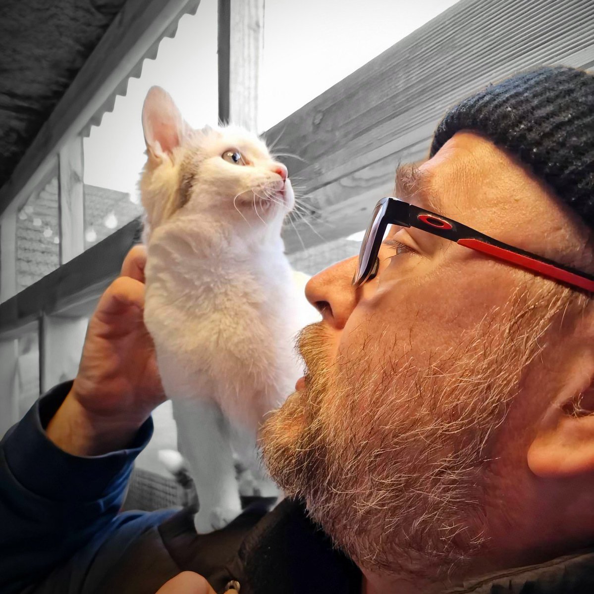 Popped over to <a href="/B_A_R_K_S/">B.A.R.K.S</a>  this morning for a bit of Smoosh time. 

She now recognises her name, and has already put some size on, and loves belly rubs - though she's still very much a shoulder monkey! ❤️