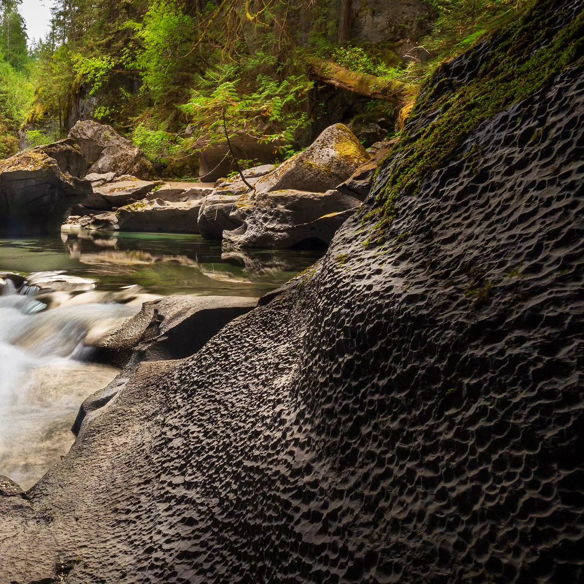 Tucked away in the scenic Nimpkish Valley, a mere 20-minute drive from the Island Highway awaits the enchanting Little Huson Caves Regional Park. Plan your trip: vancouverislandnorth.ca/stakeholder/li… 📸's martijn.laman via IG #GoNorthIsland #LeaveNoTrace