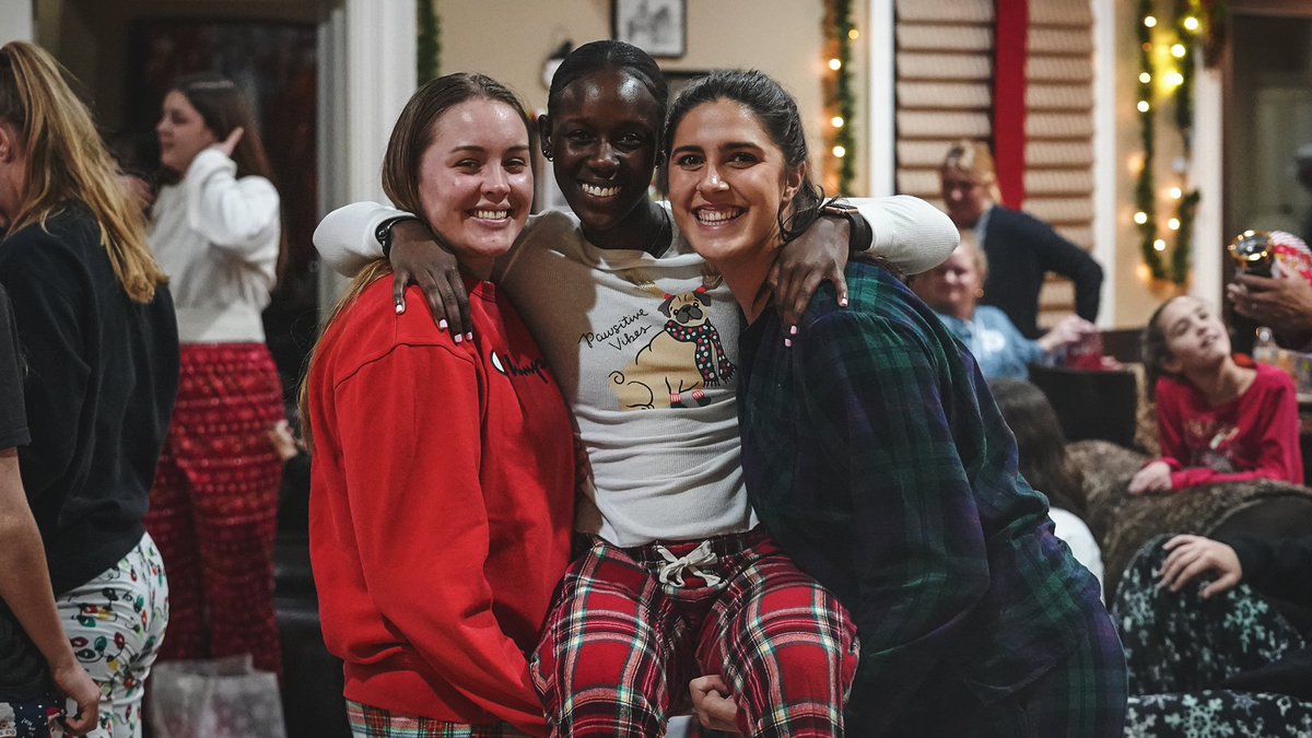 A Tiger Christmas 🎄