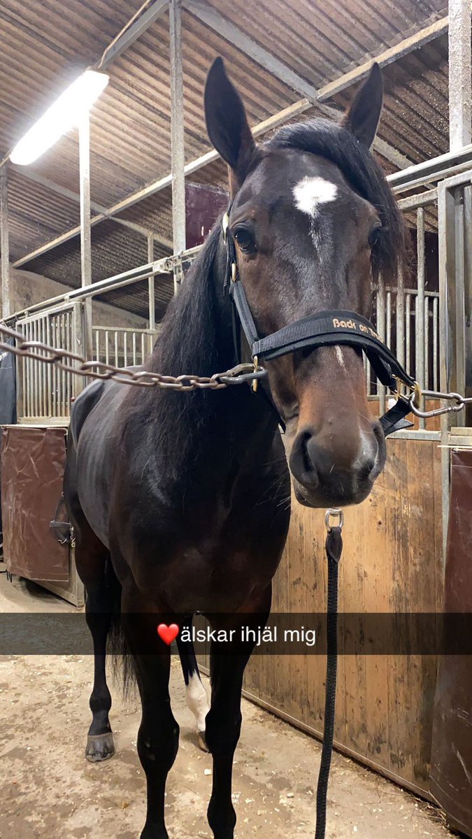 WickmanElin's tweet photo. Att jag får spendera vardagen med dig igen, mitt allt. ❤️👑 https://t.co/x4fy3FAD7b