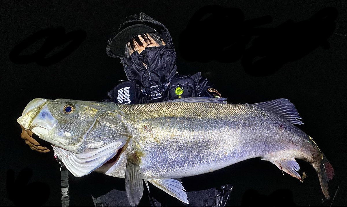 toshizou0036's tweet image. 年内サイズを狙うには最高の寒波。

スキッドスライダー95S…
fimoカラー【ギャラルグリーン】

９７㎝のスーパーランカー捕獲😭
#fimo #fimoフィールドモニター 
@fishing_yukari