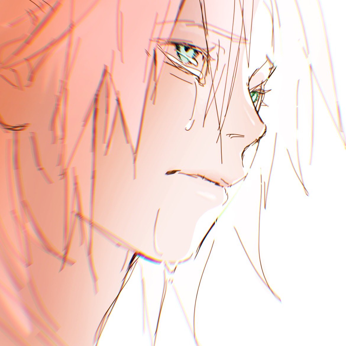 沉默的卷心菜 tweet media